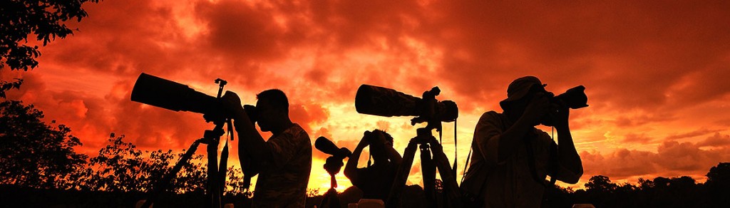 nikon_centre_malaysia_billboard