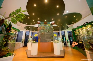 The UMS Borneenis Gallery   