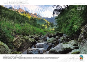Mesilau River, Mesilau Nature Resort       