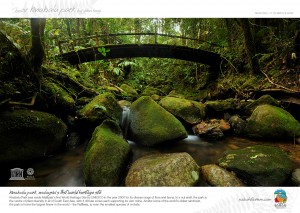 Silau Silau Stream, Kinabalu Park Headquarters       