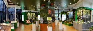 The UMS Borneenis Gallery   