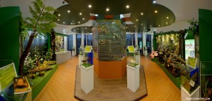 The UMS Borneenis Gallery   