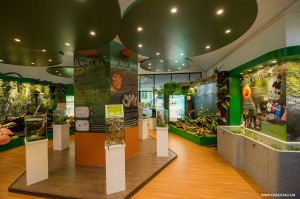 The UMS Borneenis Gallery   