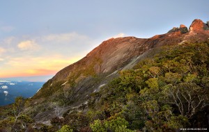 mtk2015_24           