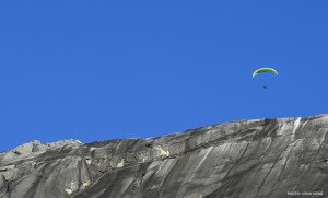 mtk2015_25           