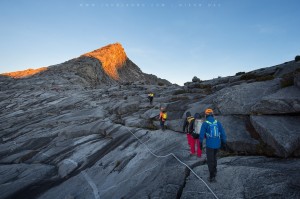 mtk2015_68          