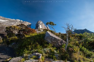 mtk2015_86  