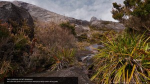 The Gardens of Mt. Kinabalu      