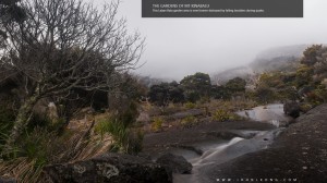 The Gardens of Mt. Kinabalu      