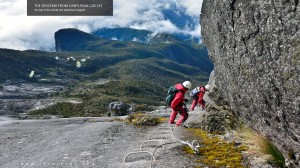 Descending the Low's Peak Circuit            