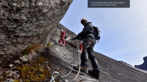Descending the Low's Peak Circuit           