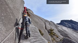 Descending the Low's Peak Circuit            