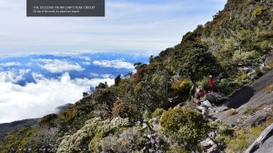 Descending the Low's Peak Circuit         